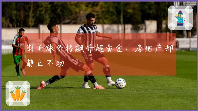 羽毛球价格飙升超黄金，房地产却静止不动